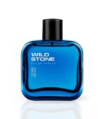 Wild Stone Hydra Energy EDP 100ML For Men