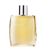 Burberry for Men EDT 100ML