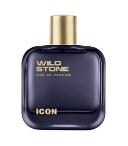 Wild Stone Icon